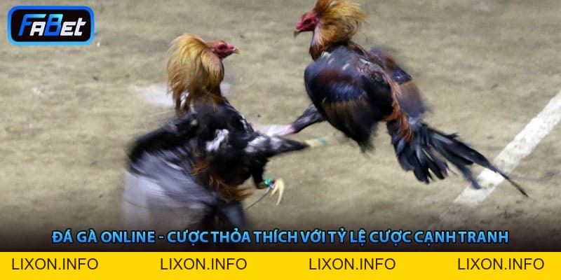 FABET – Trang Chủ FABET.COM Nền Tảng Thể Thao Xanh Chín Số 1 Châu Á 2026 - lixon.info