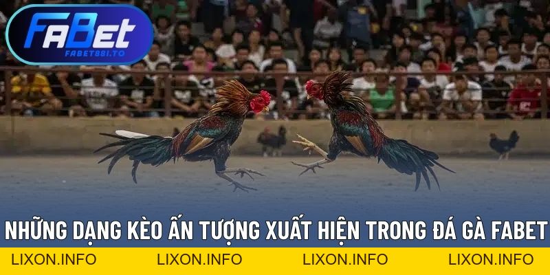 Đá Gà FABET - Quy Tụ Đa Dạng Chiến Kê Hàng Đầu Khu Vực - lixon.info