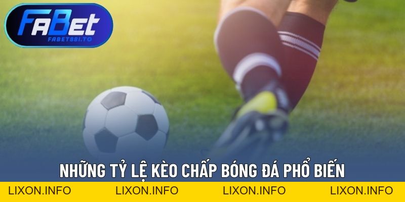 Cách Bắt Kèo Chấp Chuẩn – Đọc Kèo Không Bị Lệch Chi Tiết - lixon.info