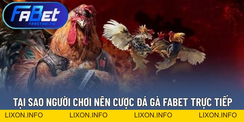 Đá Gà FABET - Quy Tụ Đa Dạng Chiến Kê Hàng Đầu Khu Vực - lixon.info